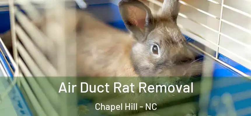 Air Duct Rat Removal Chapel Hill - NC