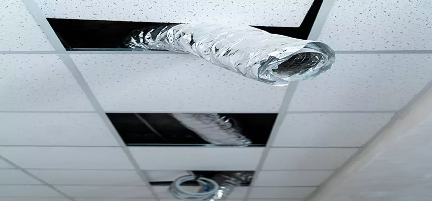 Affordable HVAC Sanitizing After Pest Removal in Chapel Hill