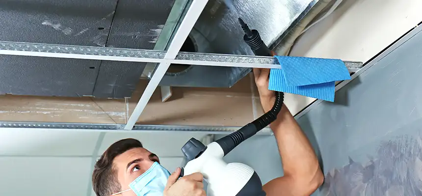 Our Air Duct Rodent Removal Services in Chapel Hill, NC