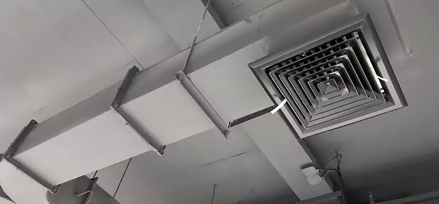 Restorative Allergy Relief Vent Cleaning – Coil, Blower & Housing Detail in Chapel Hill