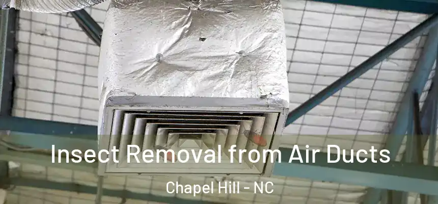  Insect Removal from Air Ducts Chapel Hill - NC