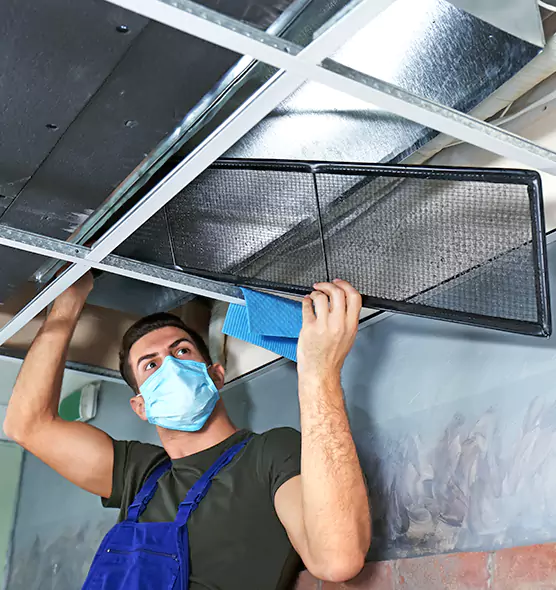 About Air Duct Bacteria Removal in Chapel Hill