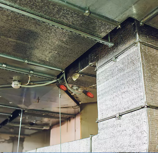 Why Homeowners & Businesses Trust Us in Chapel Hill, NC?