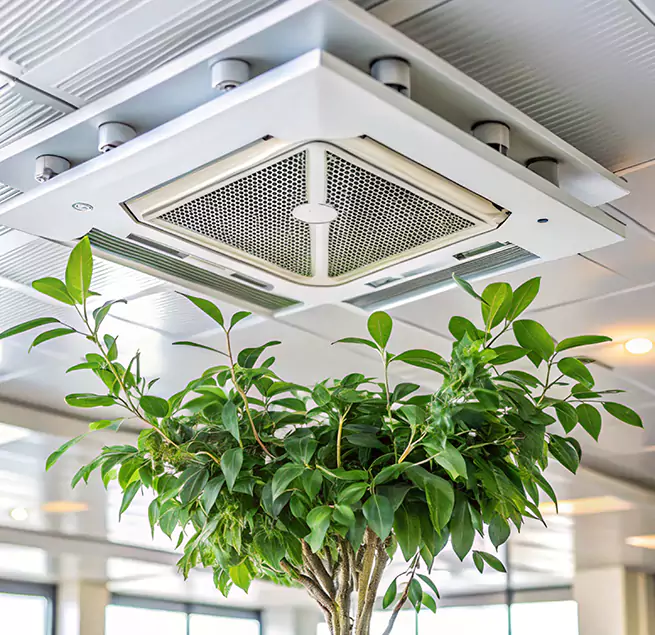 Why Homeowners & Businesses Trust Us in Chapel Hill, NC