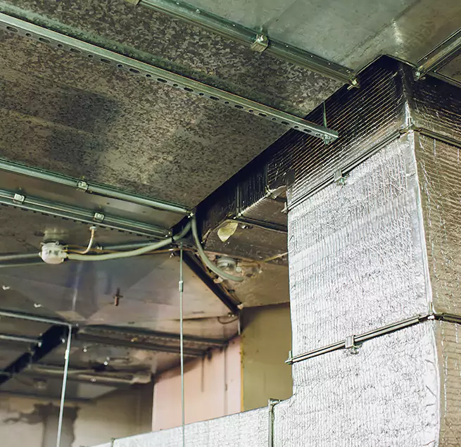 Why Homeowners & Businesses Trust Us in Chapel Hill, NC?