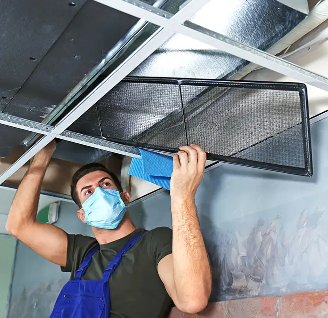 Why Homeowners & Businesses Trust Us in Chapel Hill, NC?